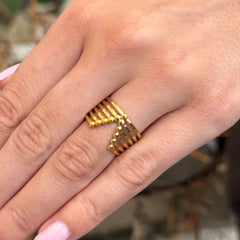 Gouden ring vela